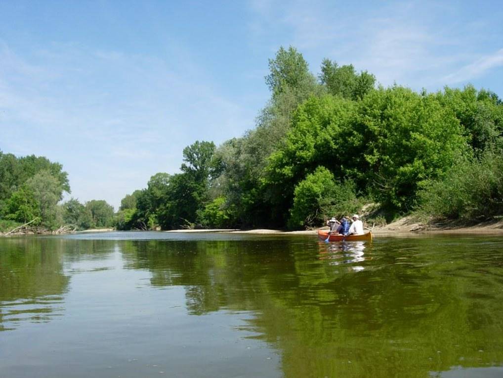 Description : loire-aval-pouilly